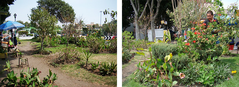 地下鉄駅前広場の庭。彼らの中でも特にこの庭に腕をふるっているのがこのフェデリコ・フェルナンド（右）。3年以上かけてこの植樹を作り上げてきた。雑多に見えるけど、それも含めて庭としてすばらしい