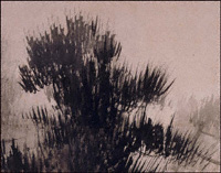 右隻4扇：松の葉《松林図屏風》（部分）
