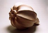 礒崎真理子「Untitled」1998