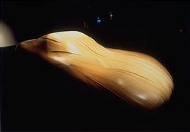 CAR OF DESIRE 1995