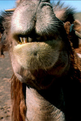 �����S��2