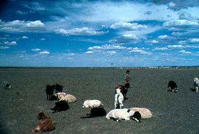 �����S��3