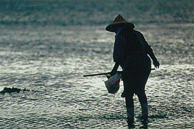 ���������i���ہj