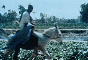 ��������A�x������