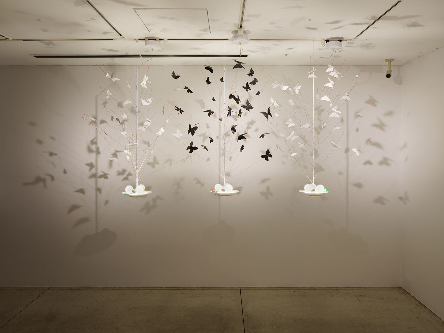 第758回デザインギャラリー1953企画展「INGO MAURER 詩情とハイテック