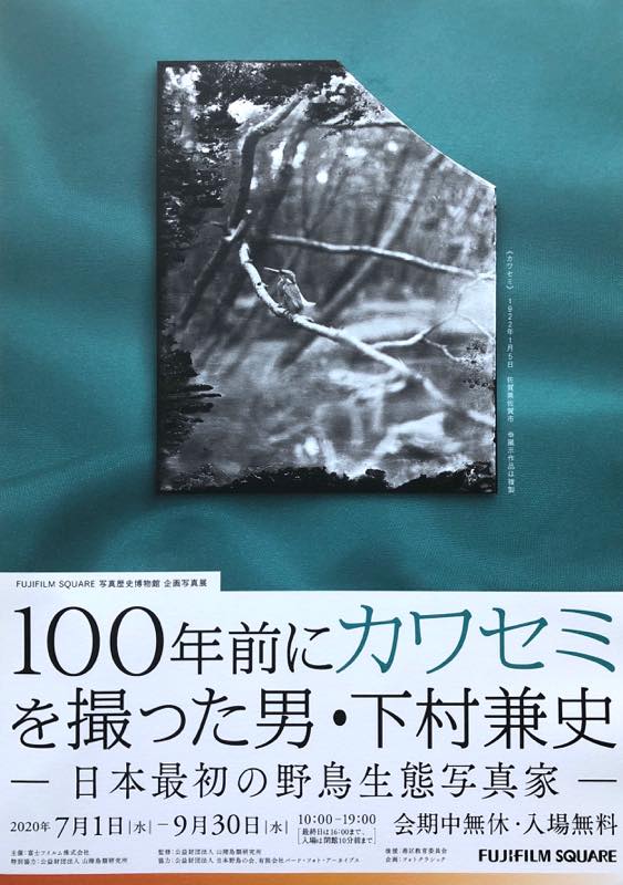 100年前にカワセミを撮った男 下村兼史 日本最初の野鳥生態写真家 Artscapeレビュー 美術館 アート情報 Artscape