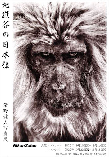 清野健人 地獄谷の日本猿 Artscapeレビュー 美術館 アート情報 Artscape
