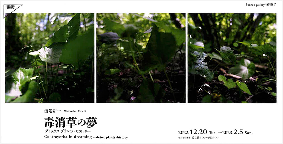 渡邊耕一「毒消草の夢 デトックスプランツ・ヒストリー」：artscape