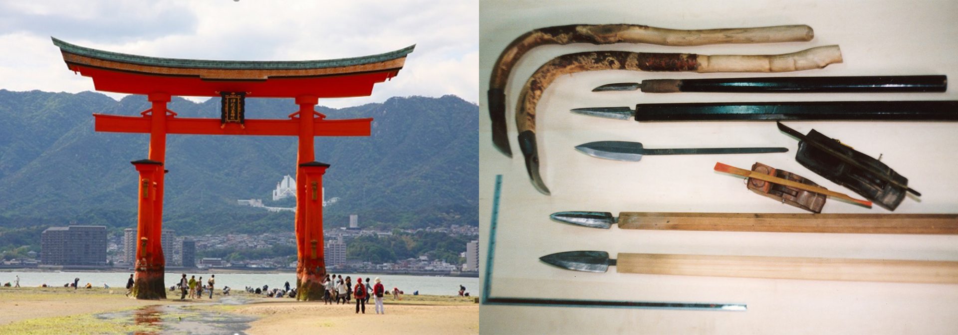 講演会「伝統建築と森－技術継承のための修理用材確保における課題と展望－」