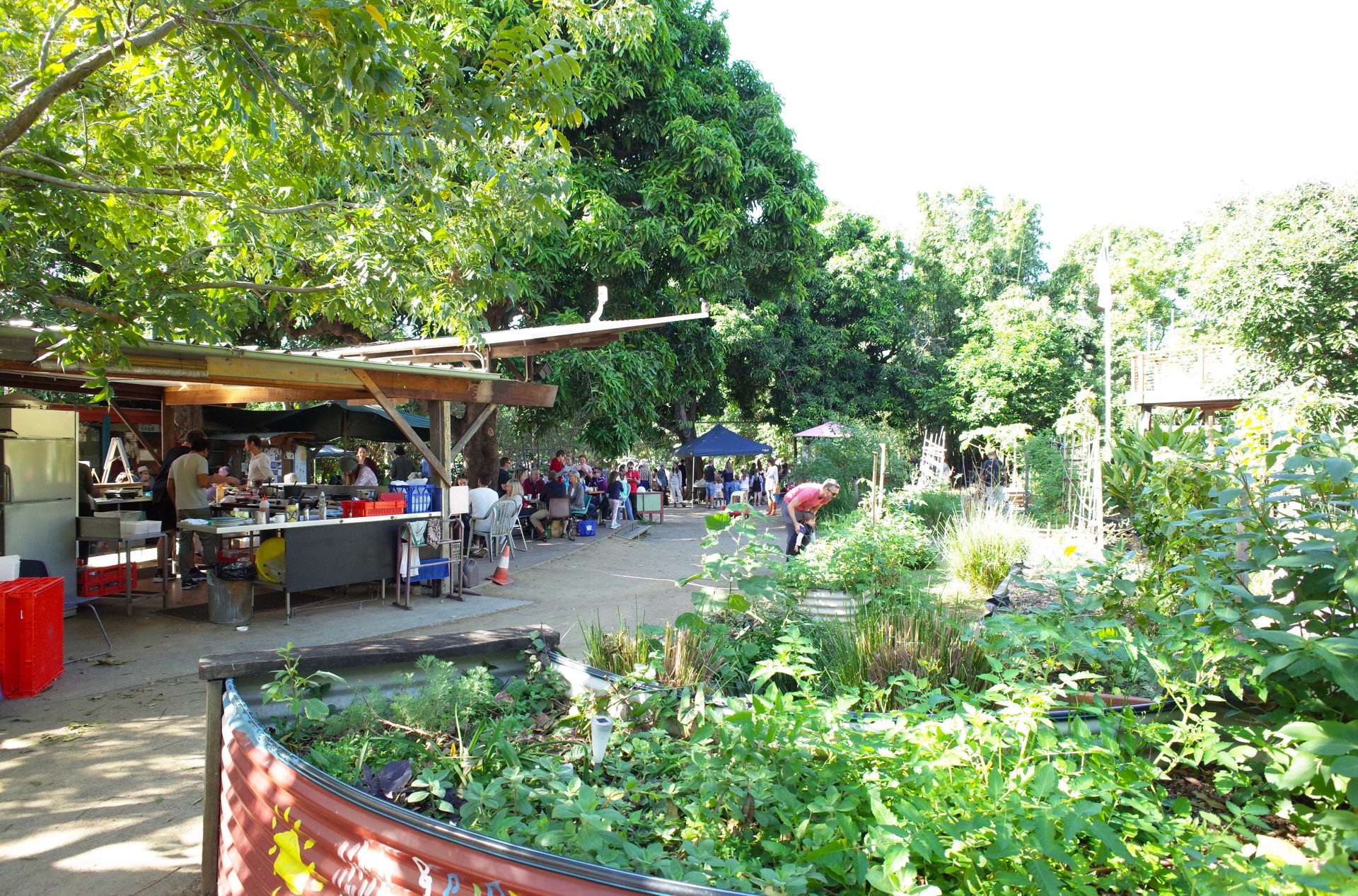 土岐文乃｜環境とコミュニティ──オーストラリアのブッシュケアとシティファーム