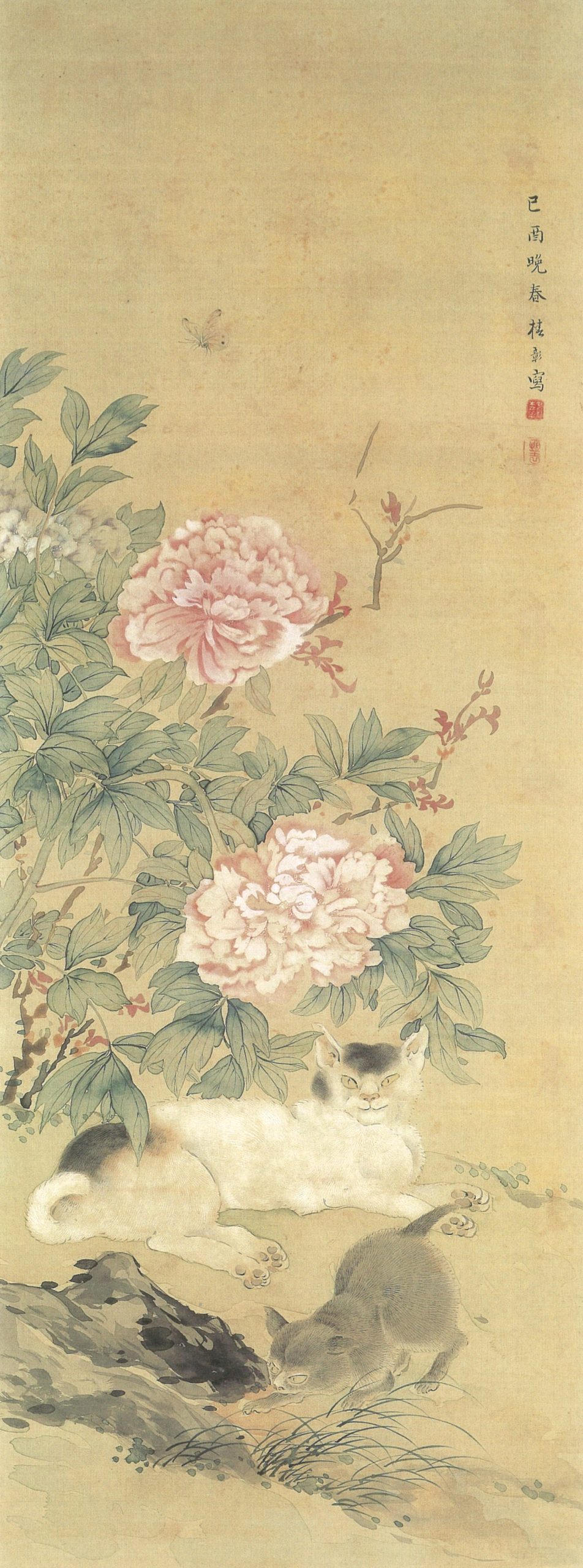 生誕200年　椿  華谷―夭折の天才画家―