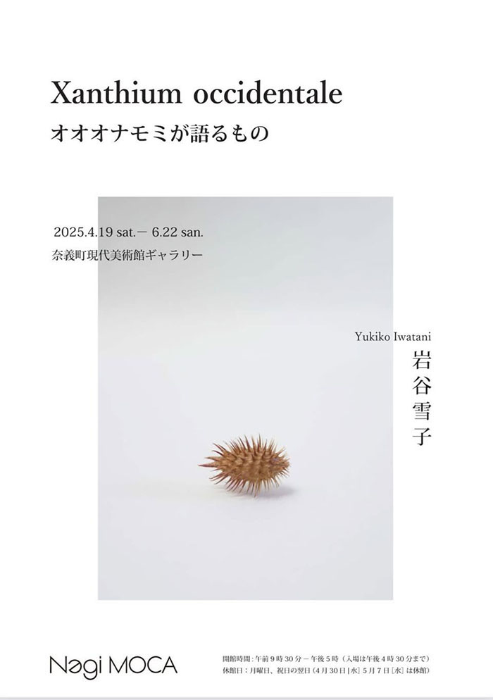 Xanthium occidentale　オオオナモミが語るもの　岩谷雪子