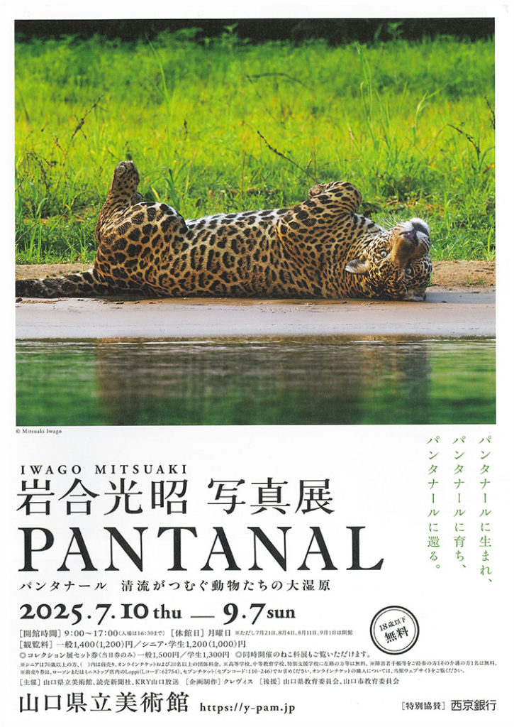 岩合光昭 写真展 PANTANAL パンタナール 清流がつむぐ動物たちの大湿原