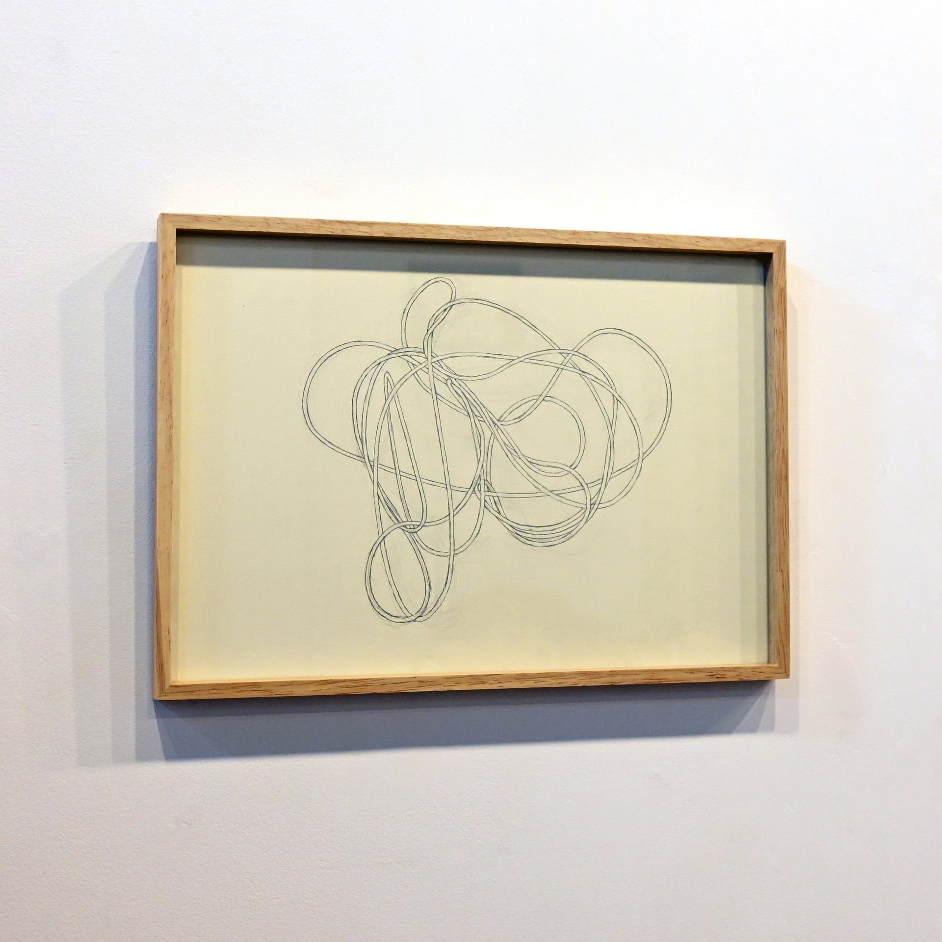 コレクション展 「Summer2025」