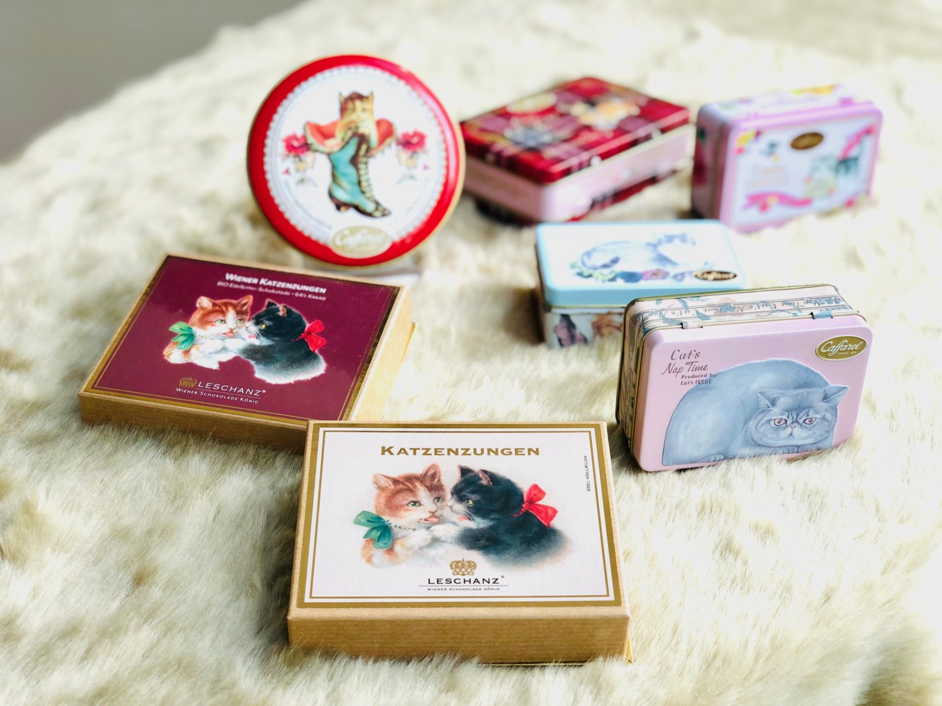 企画展「にゃんこ大行進～チョコレートパッケージになった猫たち～」