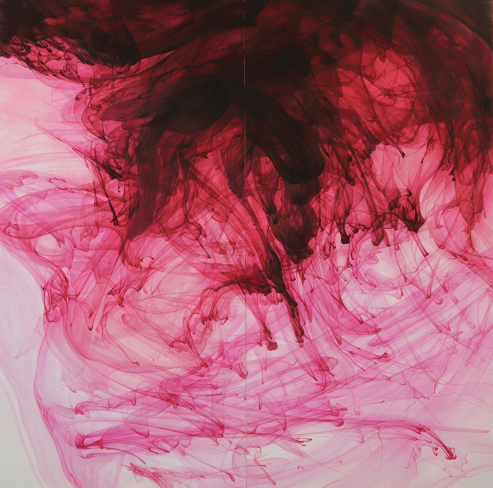 和田 宙土　個展「縺れの真影」