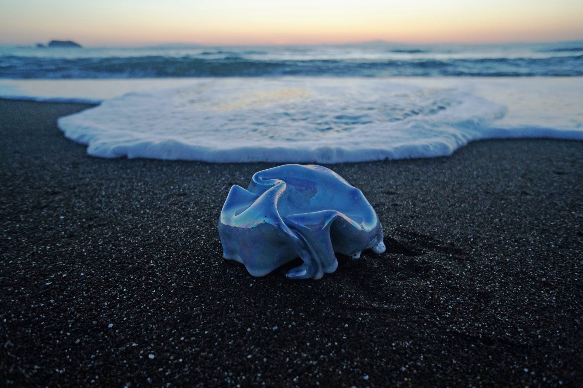 Blue Pearl: with respect and gratitude to Kosho Ito｜堀江ゆうこ写真展