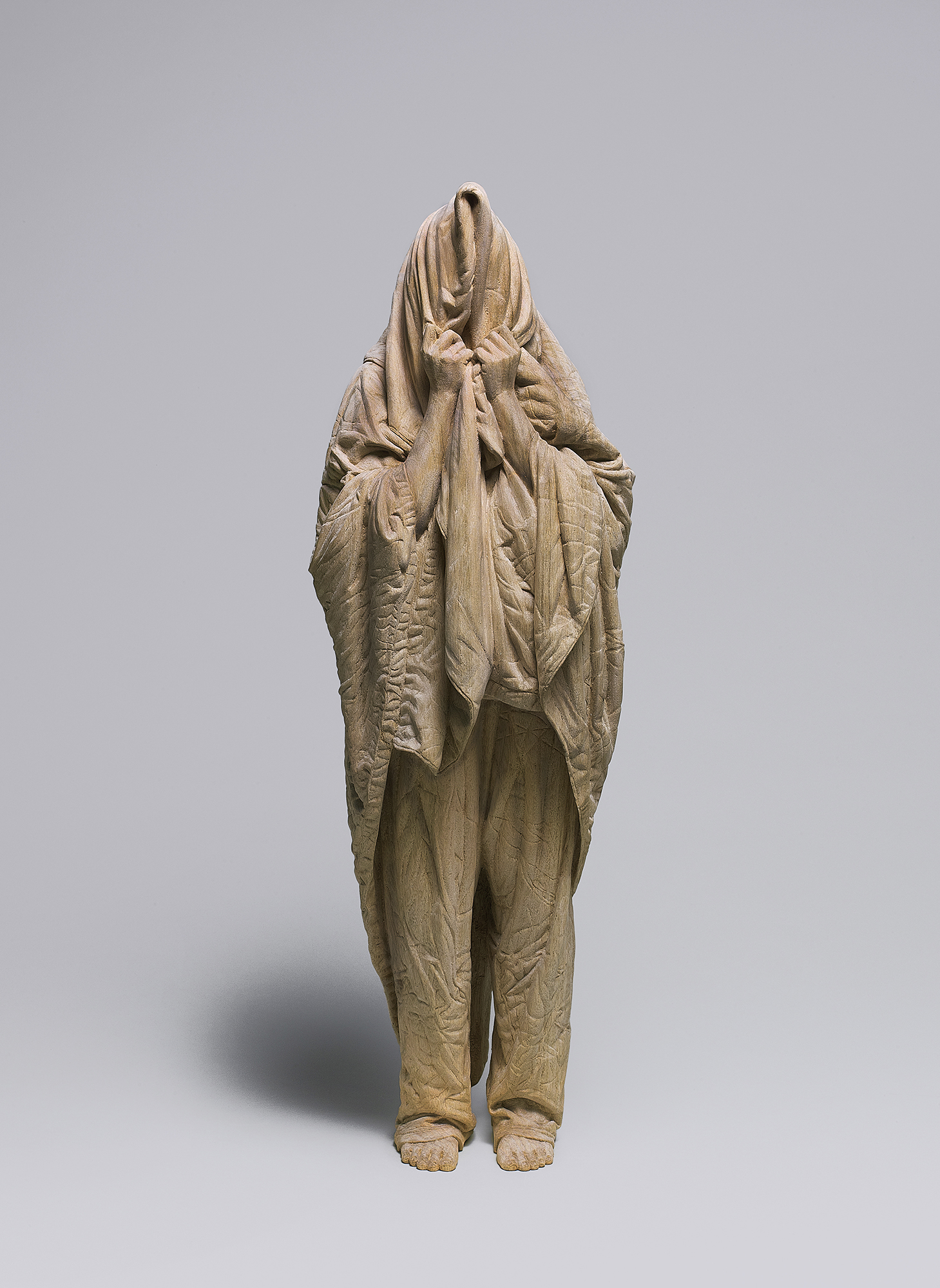 クリキュラ(Cricula Trifenestrata) 作品 美術品 アート 58854-1005-