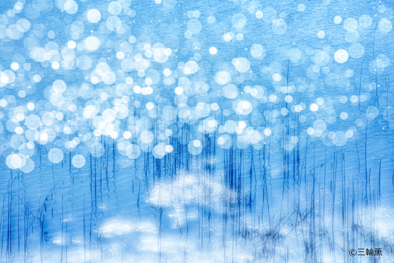 伊勢和紙による三輪薫展「風の香り－日本のこころの自然風景と花」