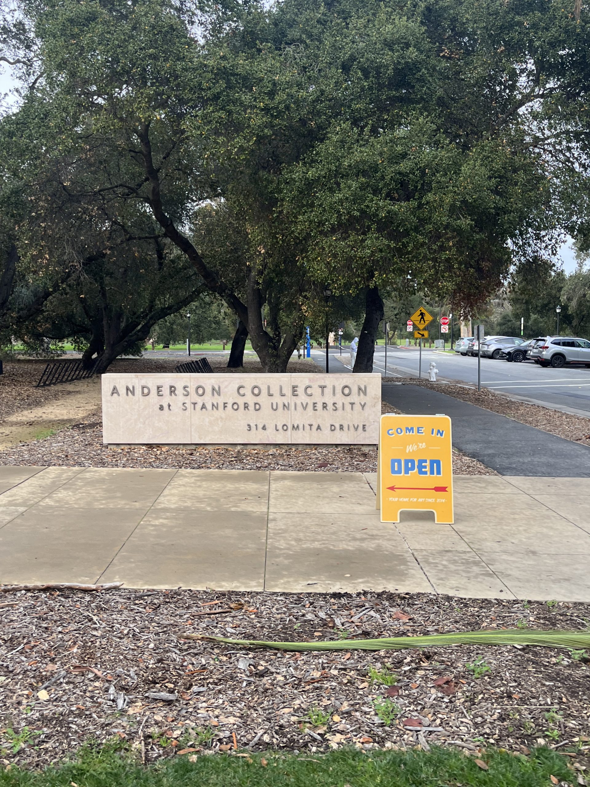 原ちけい｜「Anderson Collection」