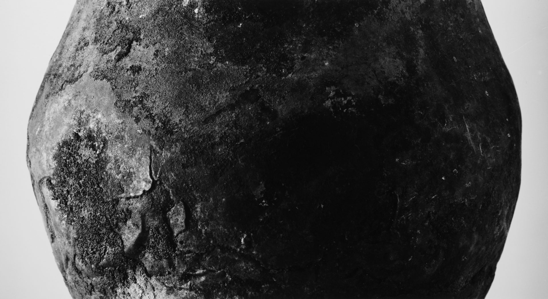 土に還る｜「そこにある」ものたちの声　　村越 慧 写真展