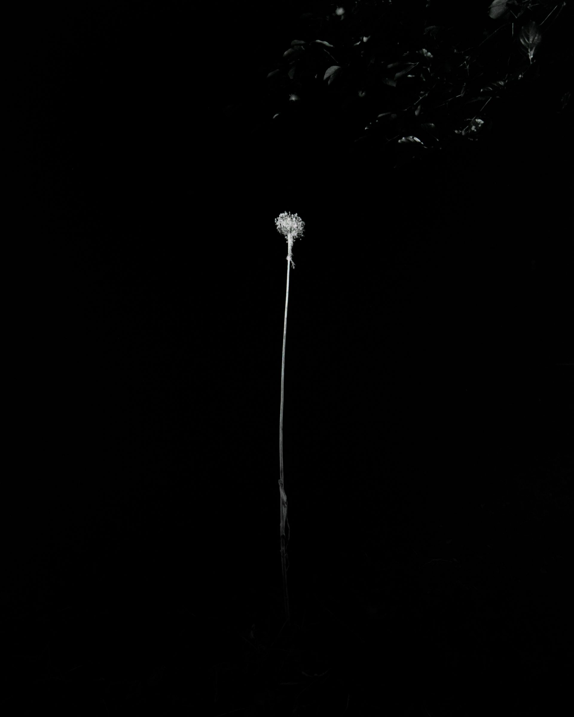 大山友輝朗 個展「円環」