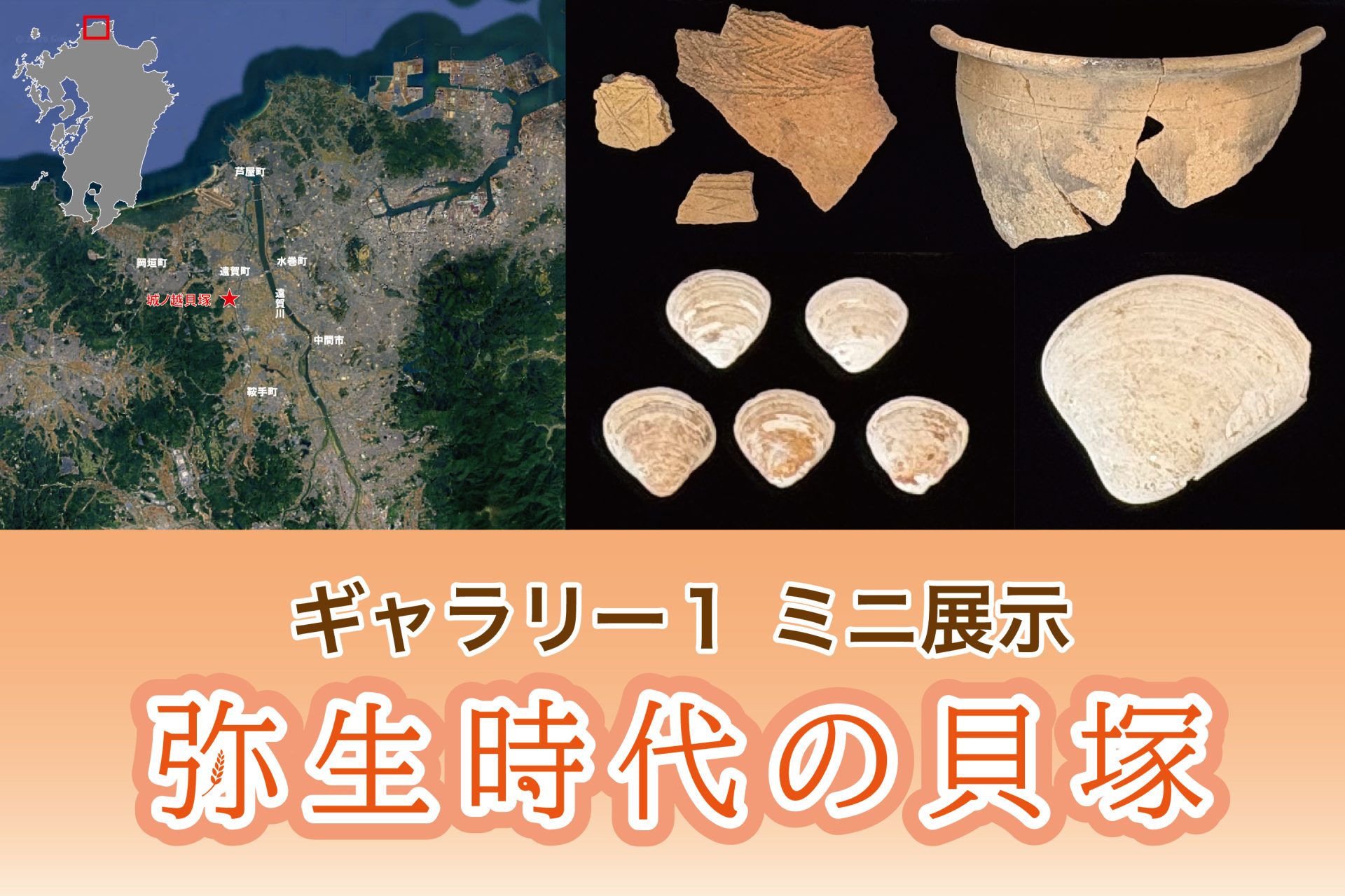 【ミニ展示】弥生時代の貝塚