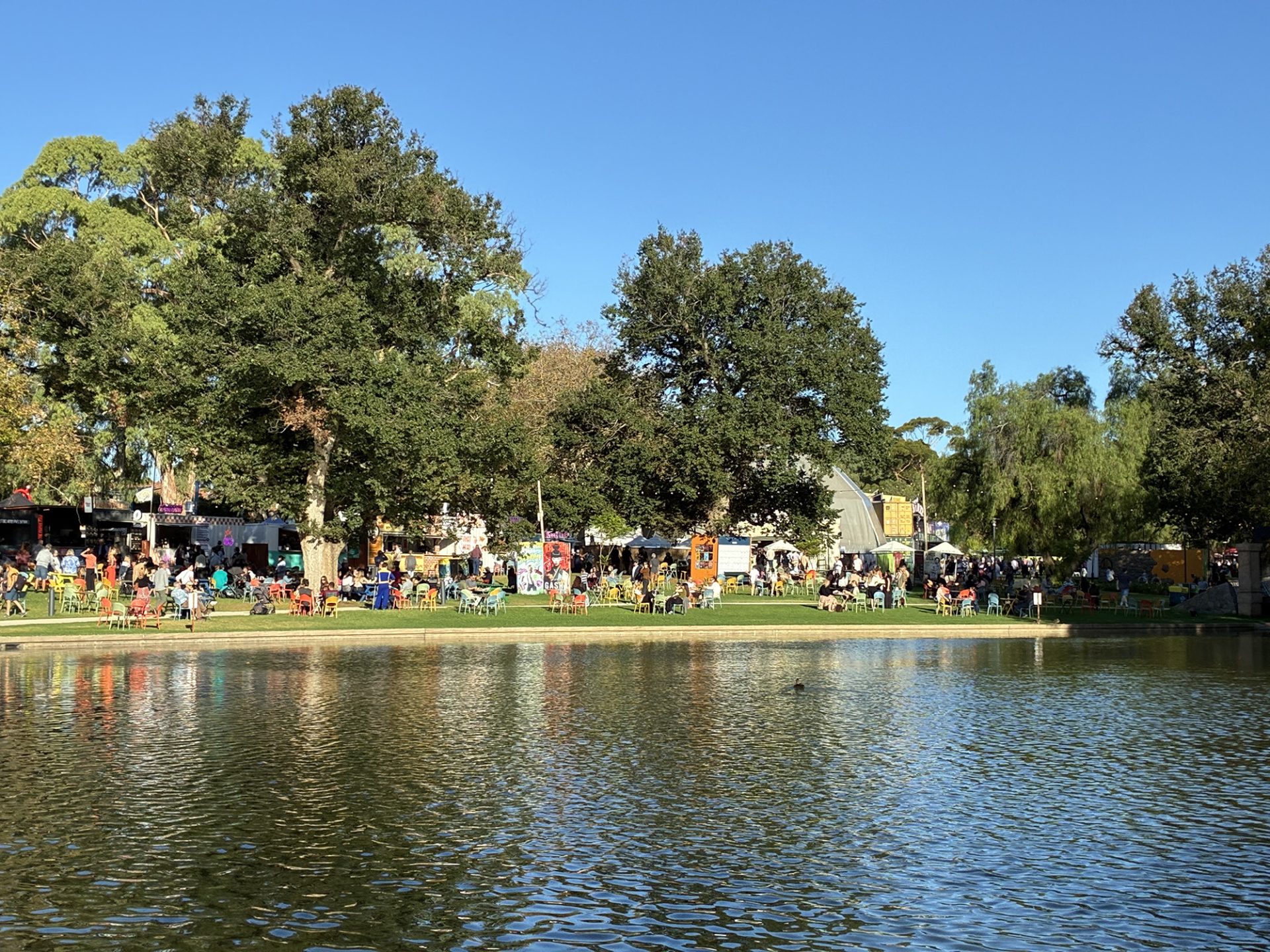 山﨑健太｜アデレード視察レポート②：観劇プログラムを概観する