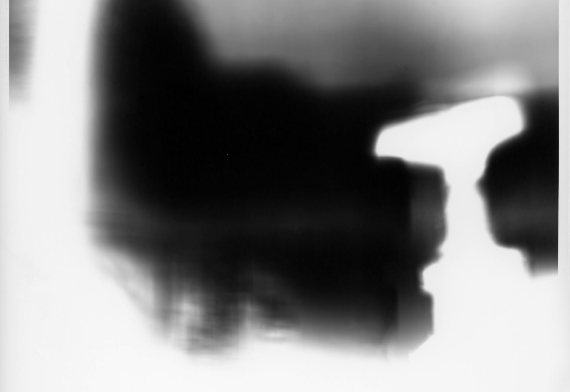 鈴木のぞみ 作品展「Words of Light — Practices of Translation」