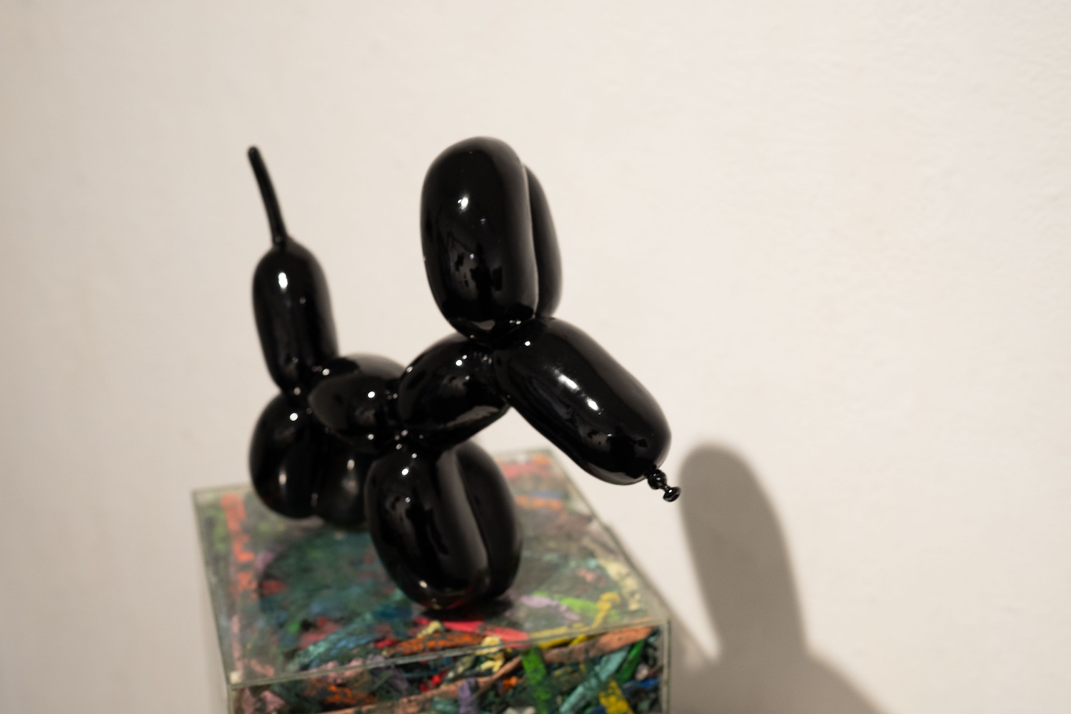 高嶋慈｜橋本梨生「1/X」