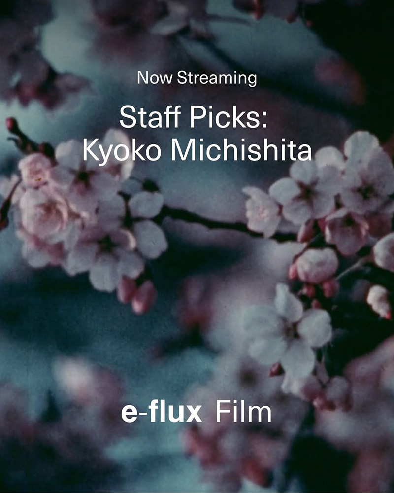 原ちけい｜道下匡子特集（e-flux Film）