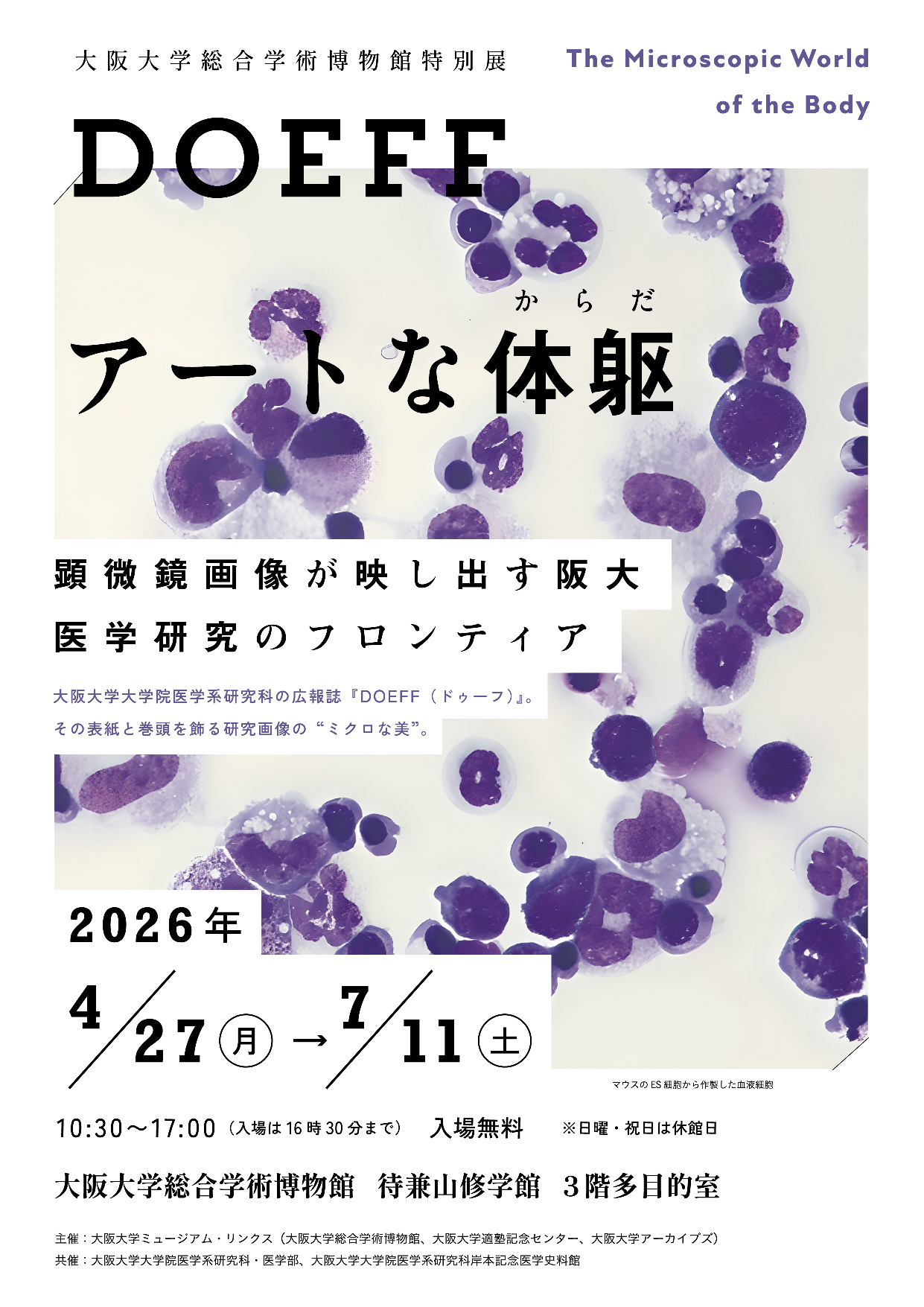 DOEFF アートな体躯