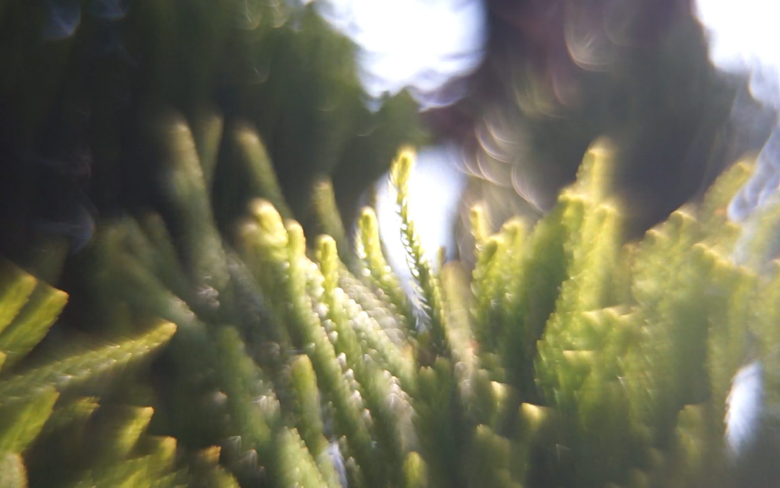 KAWAKYU ART Exhibition 2025 Spring 「他者の気配」-Neighbor’s Presence-