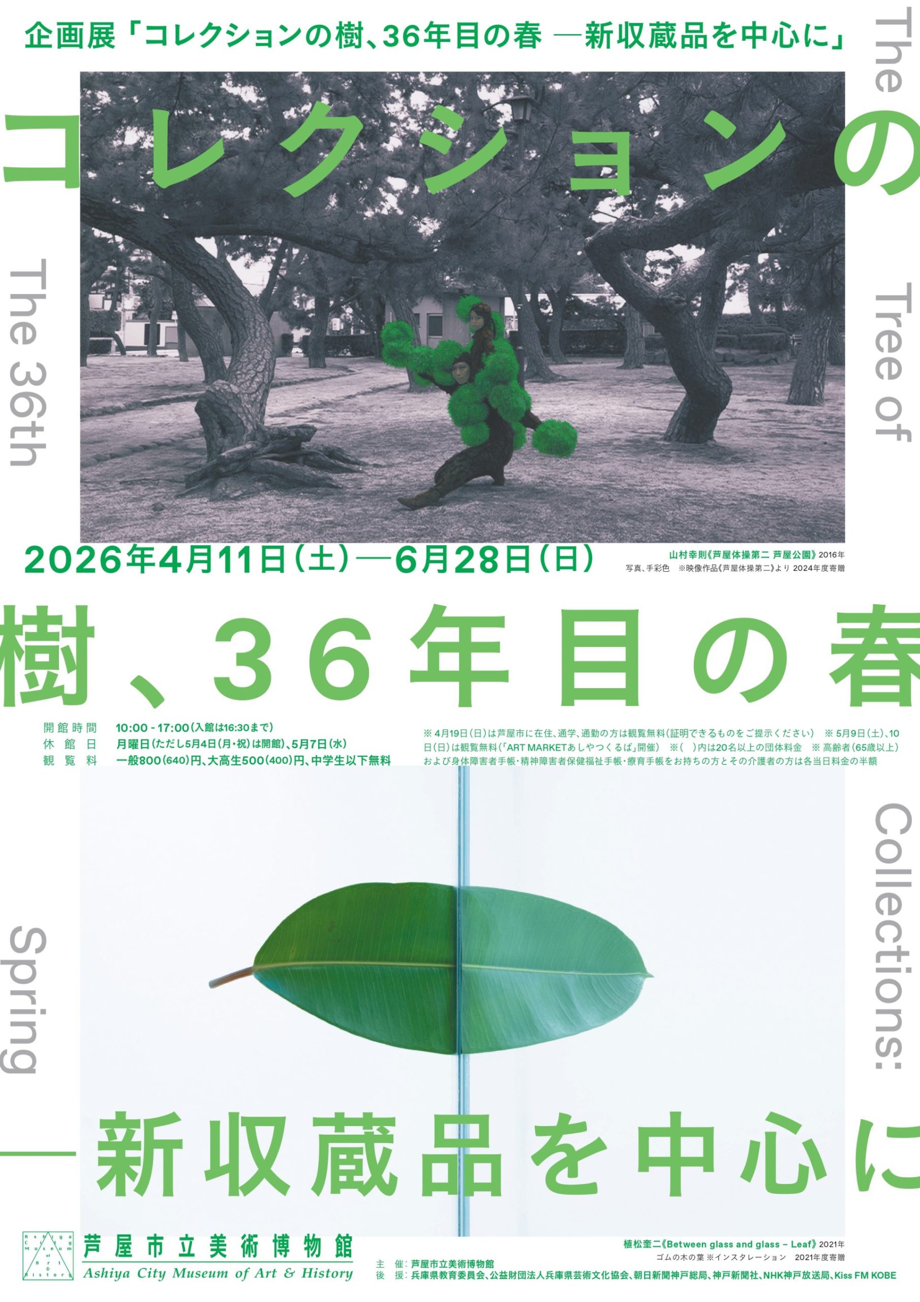 「コレクションの樹、36年目の春 ―新収蔵品を中心に」