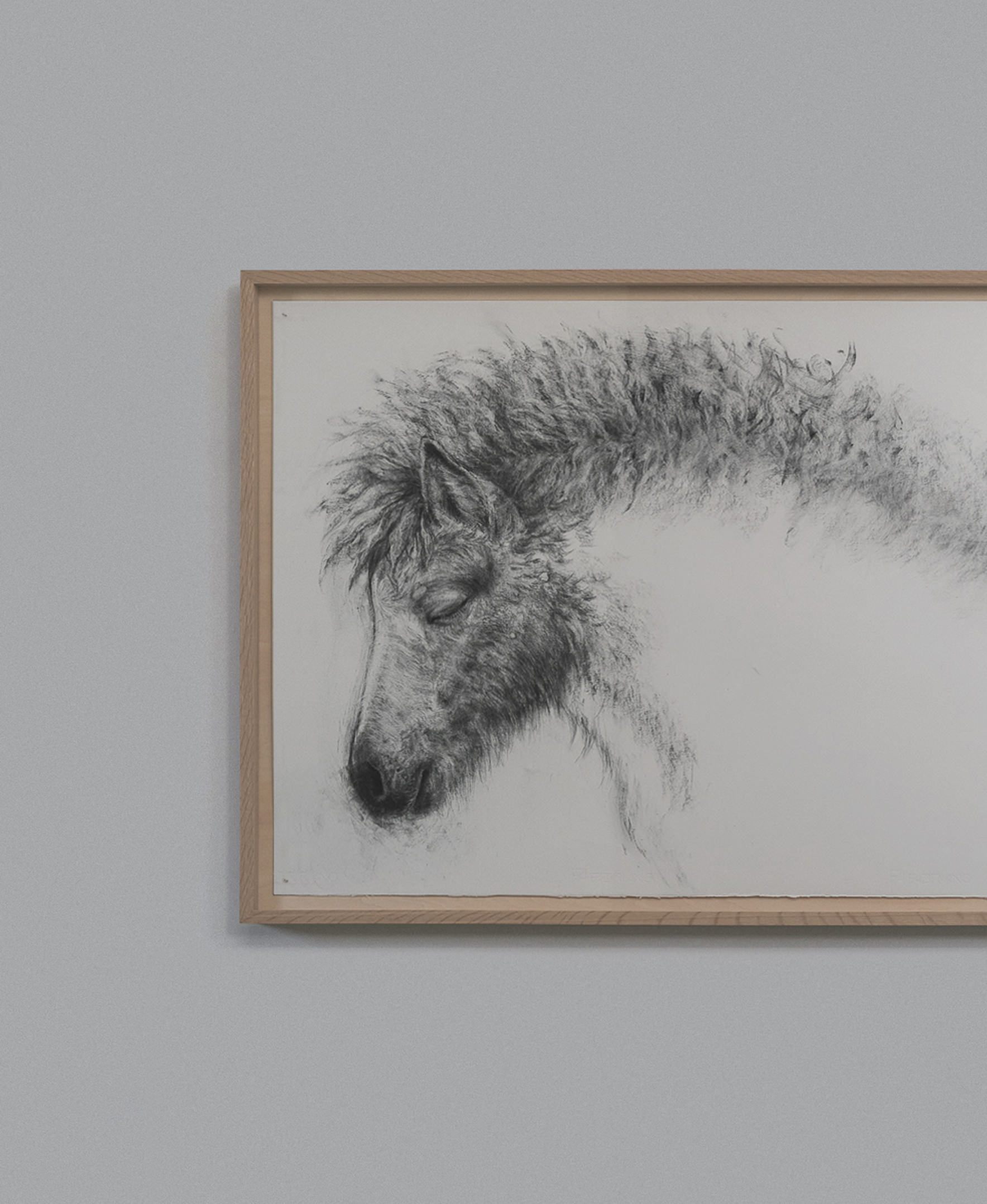 画家 忠田愛 個展「Breath, Among Others」