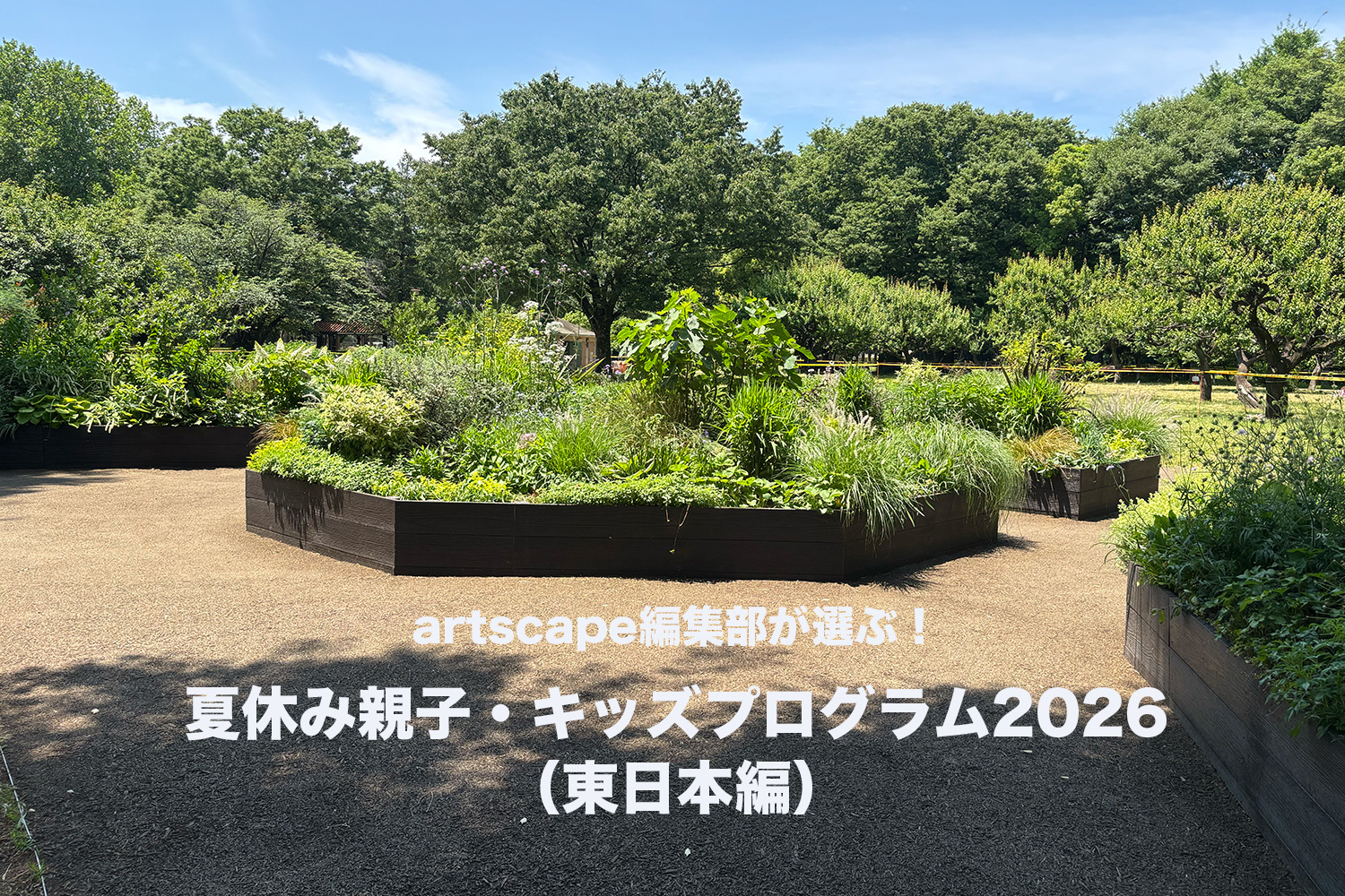 artscape編集部が選ぶ！夏休み親子・キッズプログラム2026（東日本編）