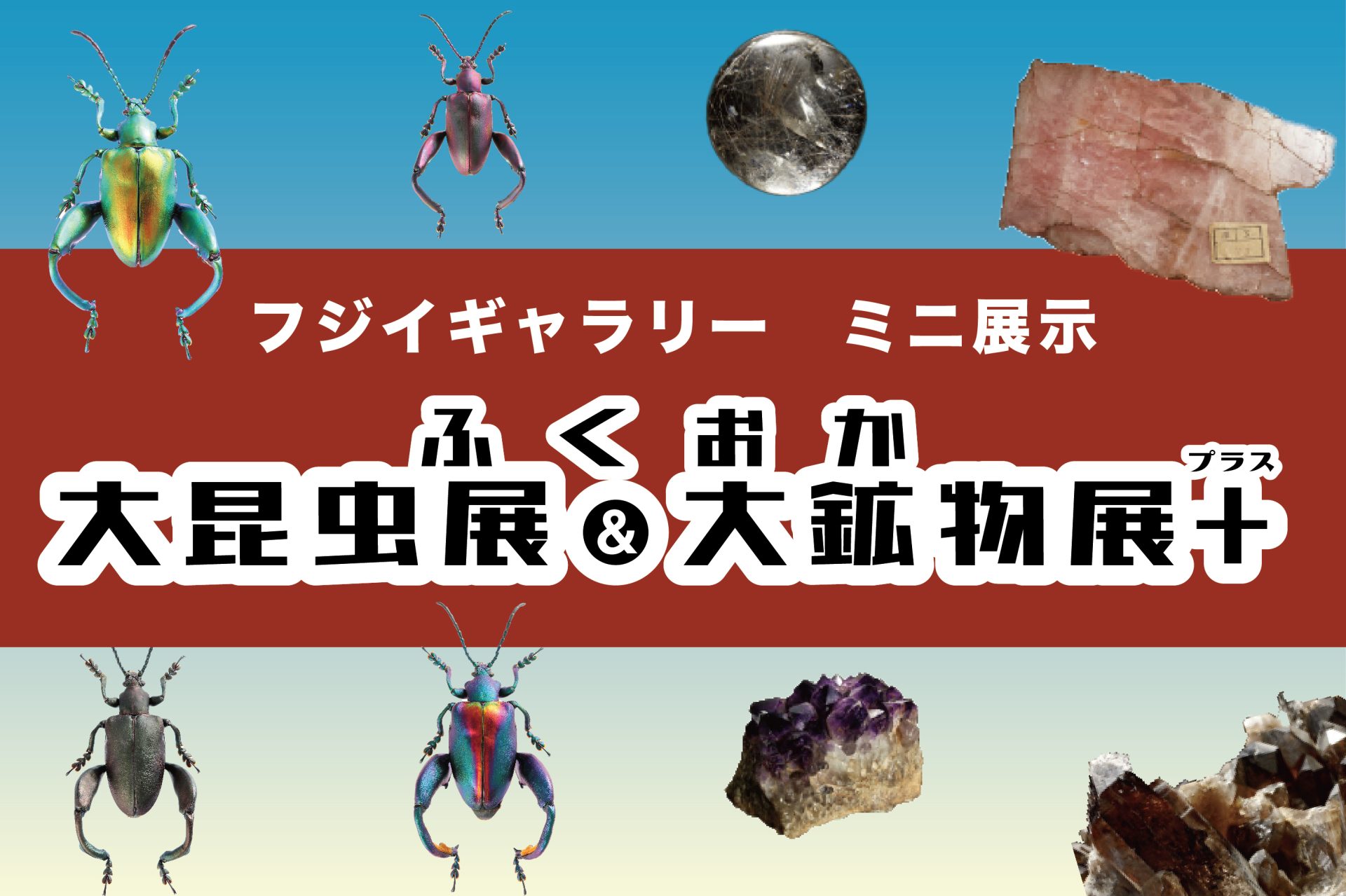 【ミニ展示】ふくおか大昆虫展&大鉱物展＋