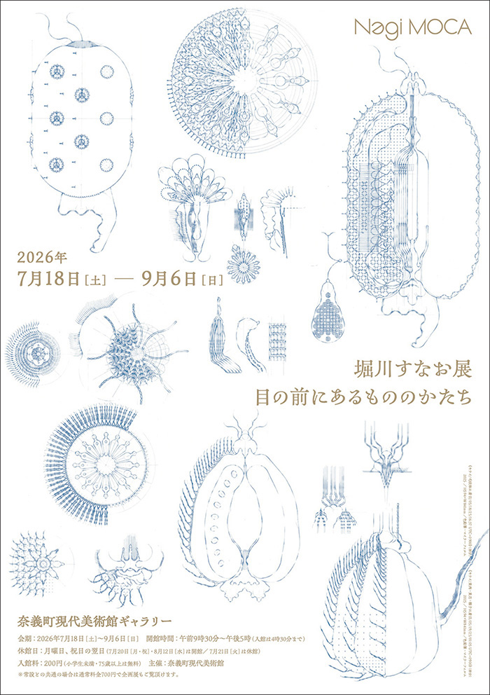 堀川すなお展　目の前にあるもののかたち