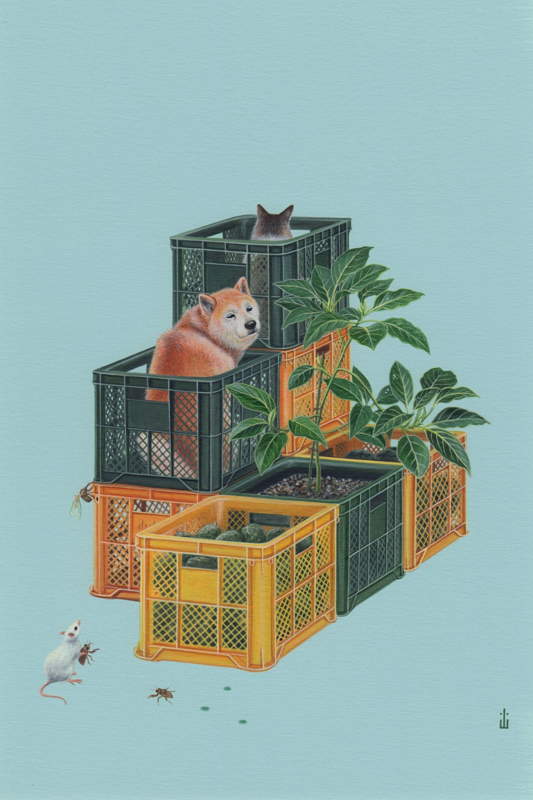 小山久美子 個展「うちうちのことは」