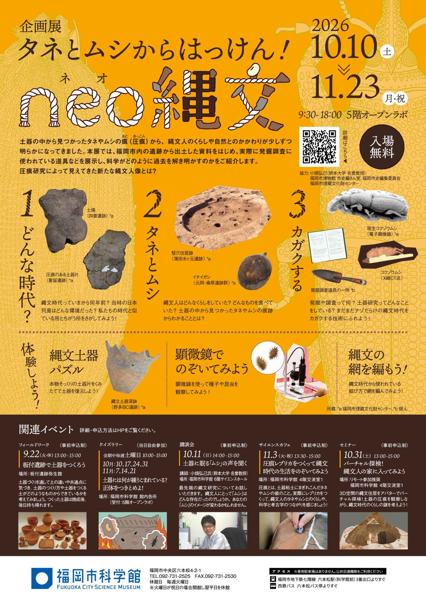 企画展「タネとムシからはっけん!neo縄文」