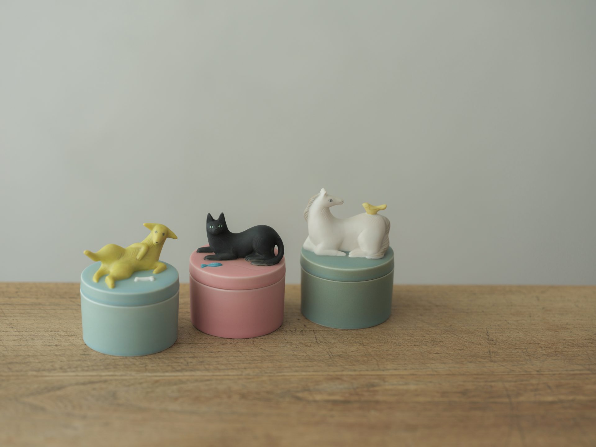 平澤まりこ個展「for my dear Companions －愛しきものたちへ」
