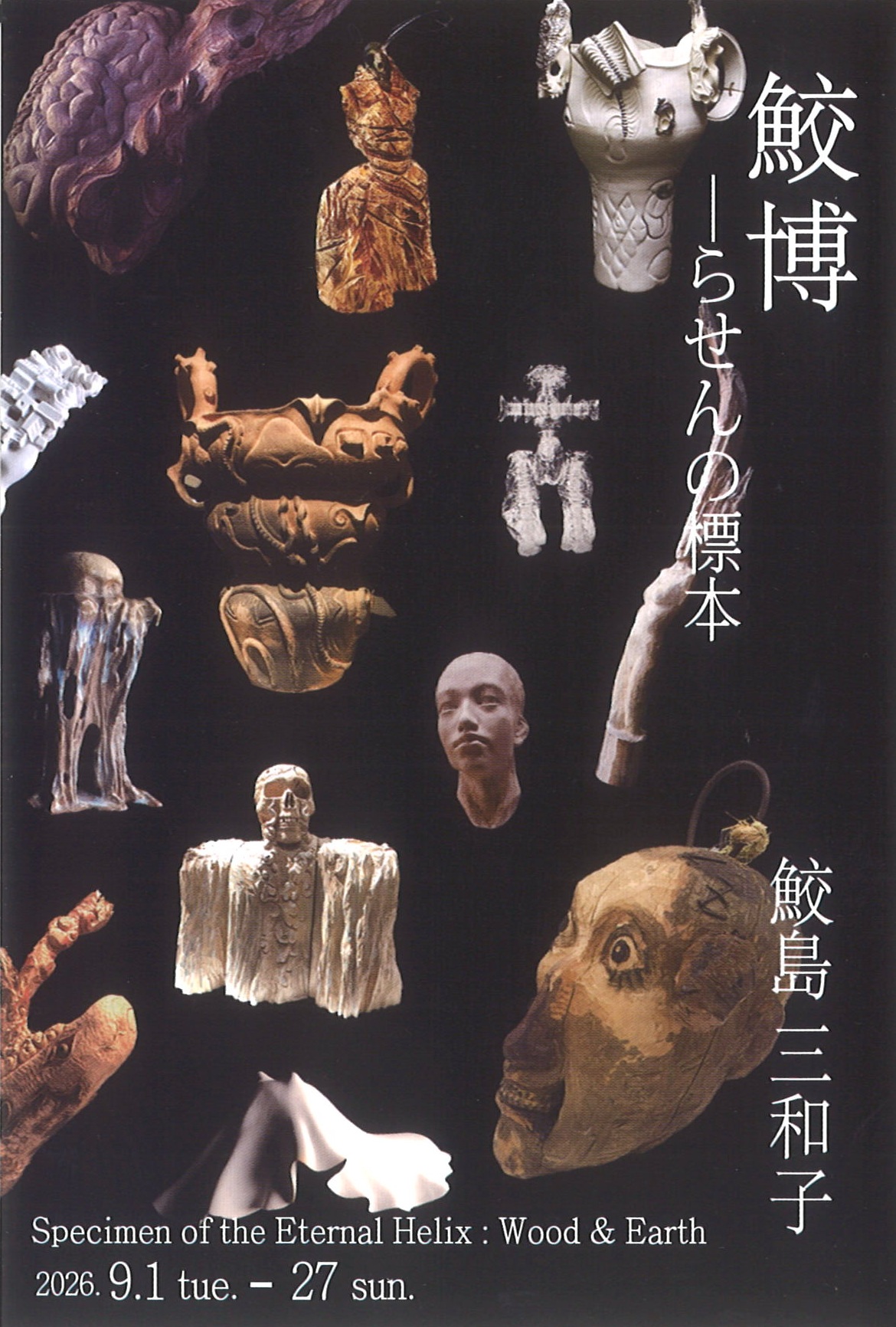 鮫島三和子 個展「鮫博－らせんの標本」