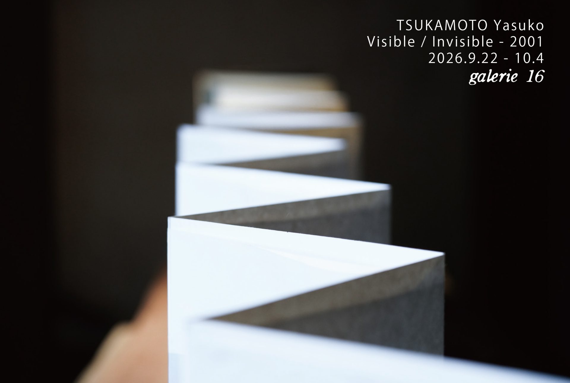 つかも とやすこ展 Visible/invisible-2001